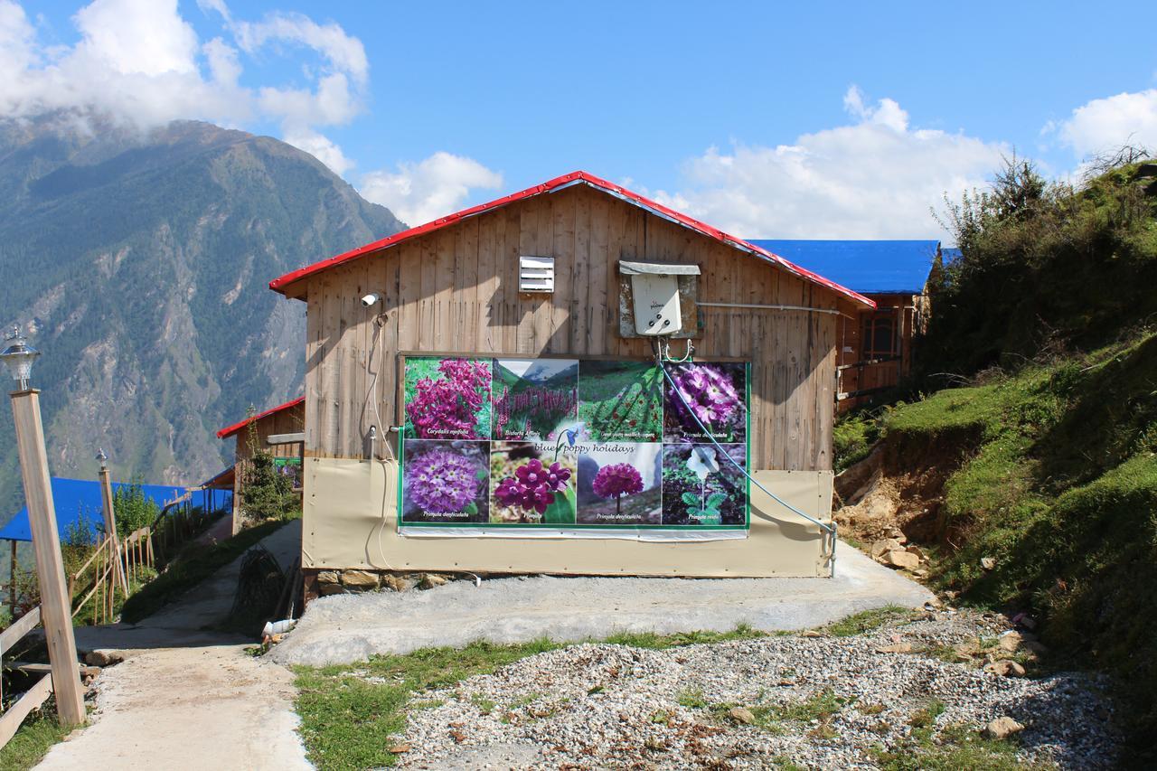 Blue Poppy Resorts Joshīmath Exterior foto